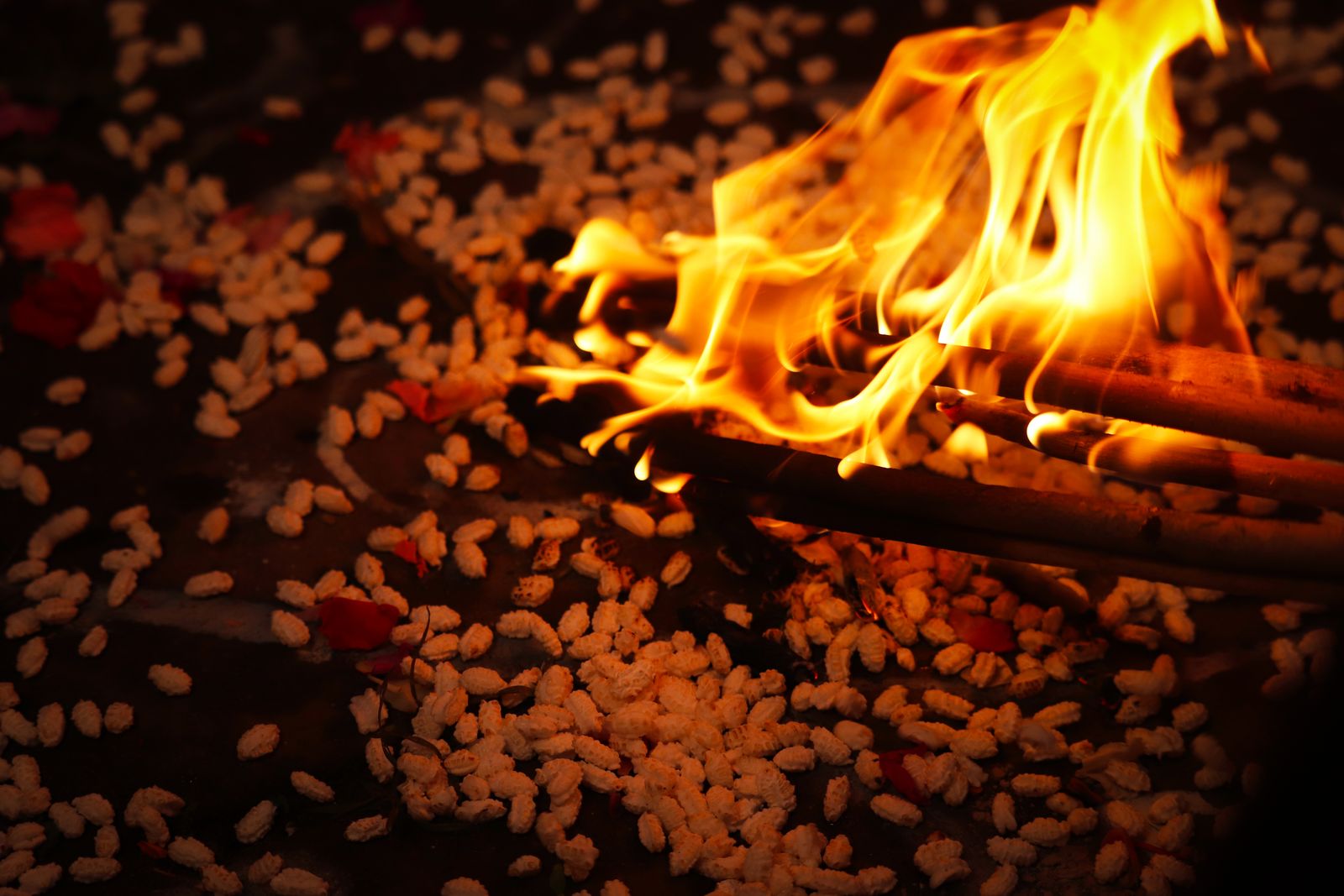 The sacred flame with traditional offerings